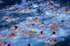 Swim Stroke Analysis for Whole Athletes